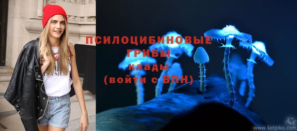 дживик Магадан