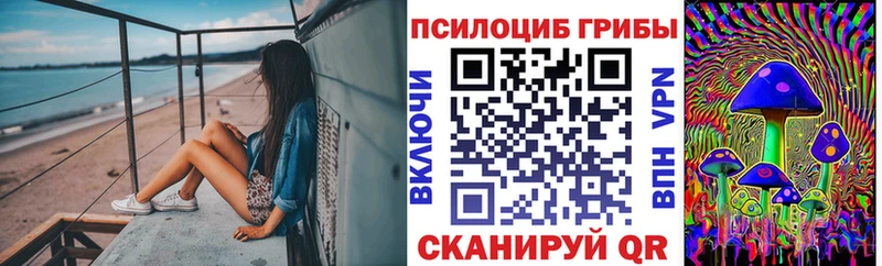 цены darknet Telegram Псилоцибиновые грибы мицелий Зея