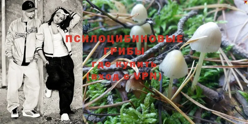 Галлюциногенные грибы Psilocybine cubensis  hydra ссылки  Зея 