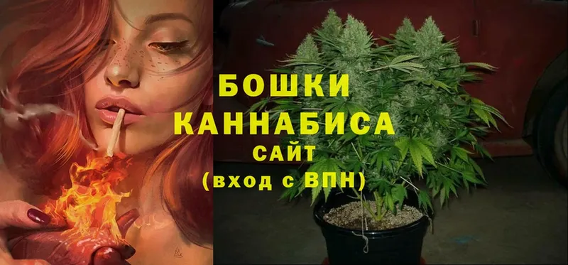 Конопля SATIVA & INDICA  mega ссылка  Зея  наркошоп 